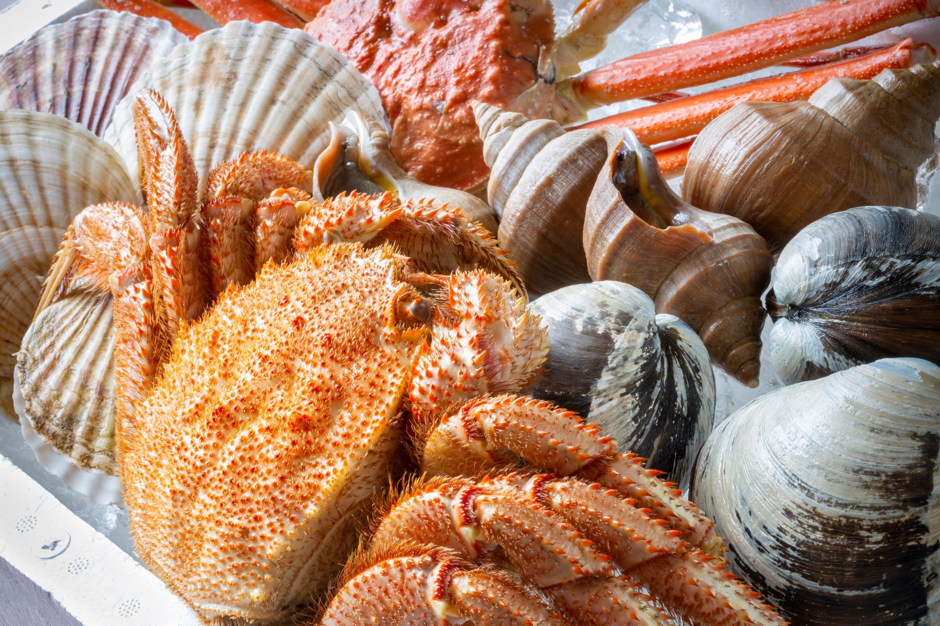 北海道産 海鮮の魅力完全ガイド:新鮮な味を楽しむ方法