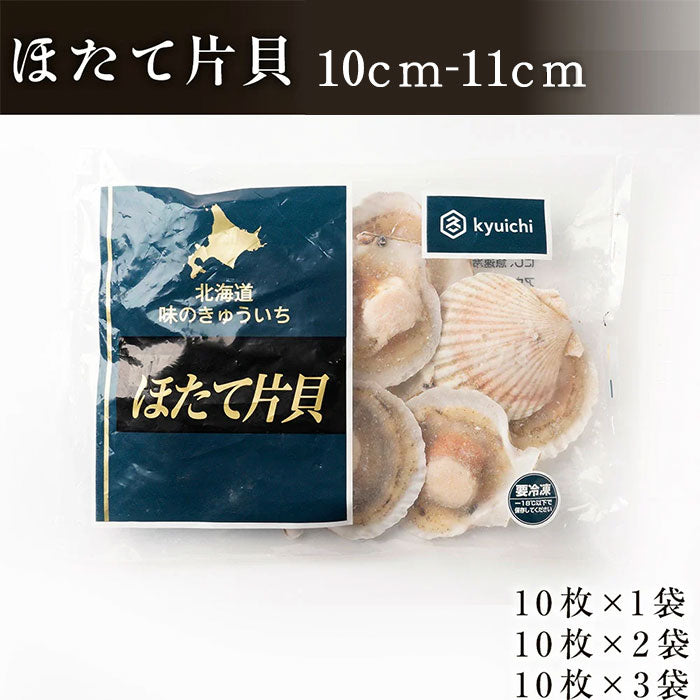 2025年物 噴火湾産ほたて片貝 10cm-11cm L 10枚