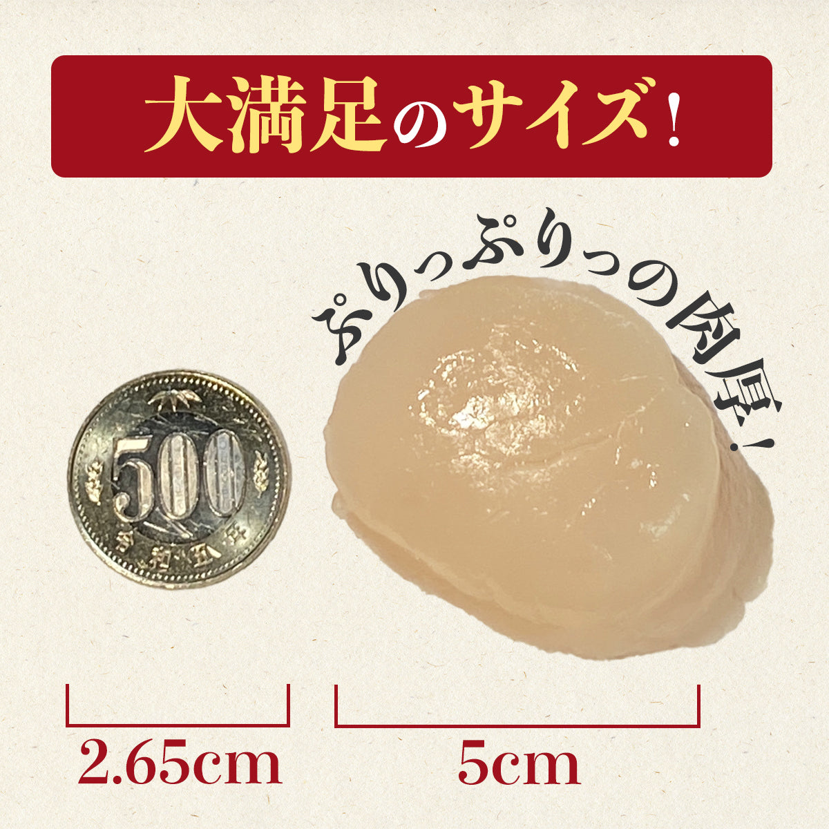 【送料込み】きゅういち 盛りだくさんセット