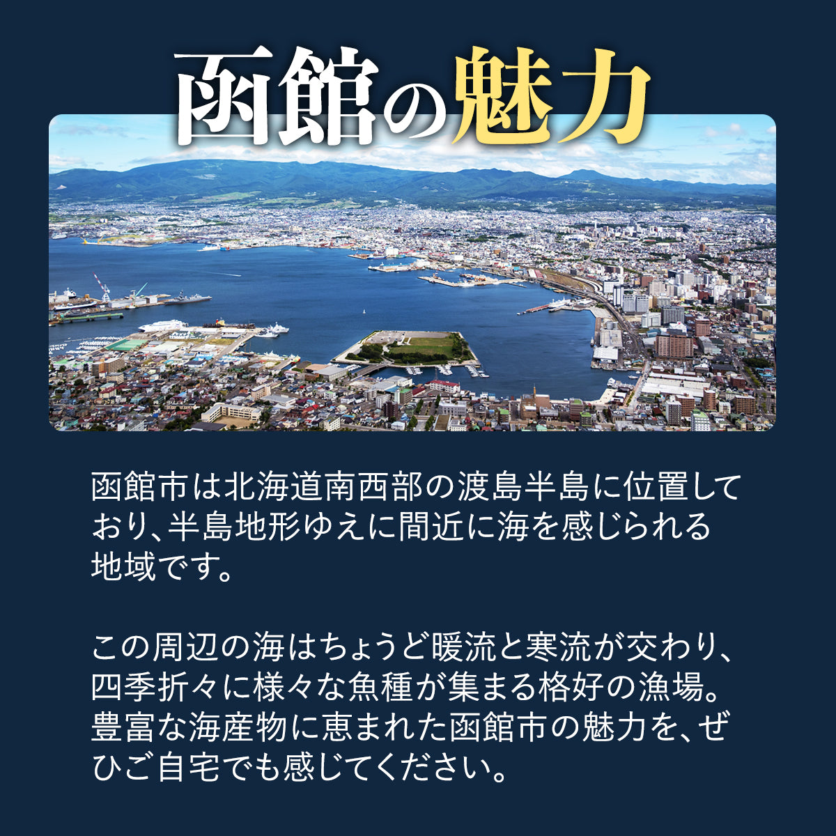 【送料込み】きゅういち 盛りだくさんセット