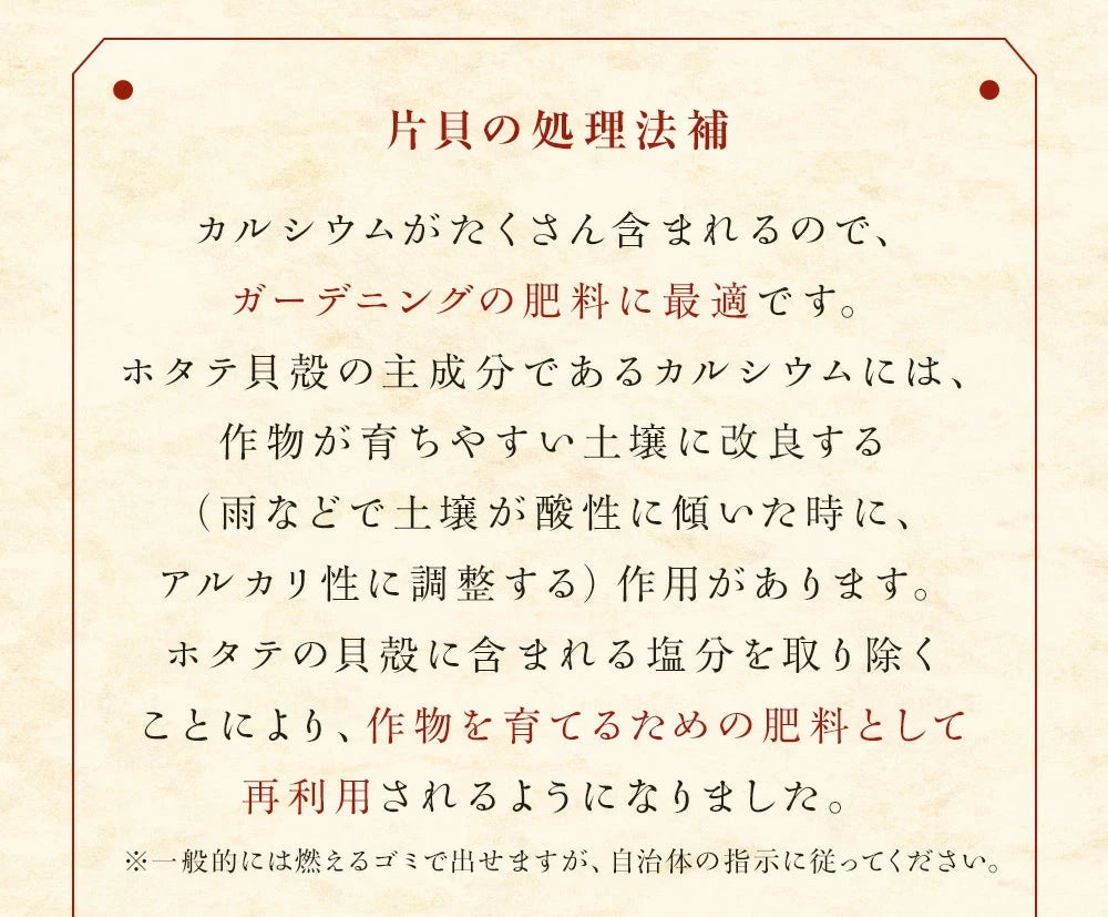 2025年物 噴火湾産ほたて片貝 8cm-9cm 10枚