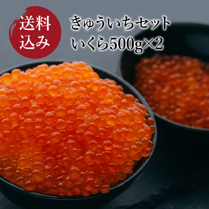 【送料込み】きゅういちいくらセット いくら 500g×2