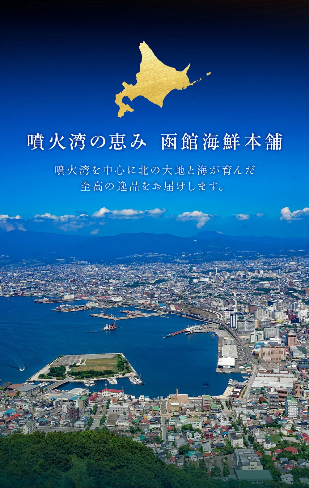 北海道 噴火湾 特大 ほっけ 干物 2枚 (400g~ 450g×2枚)