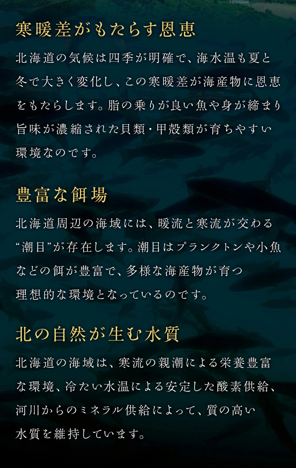北海道 噴火湾 特大 ほっけ 干物 2枚 (400g~ 450g×2枚)