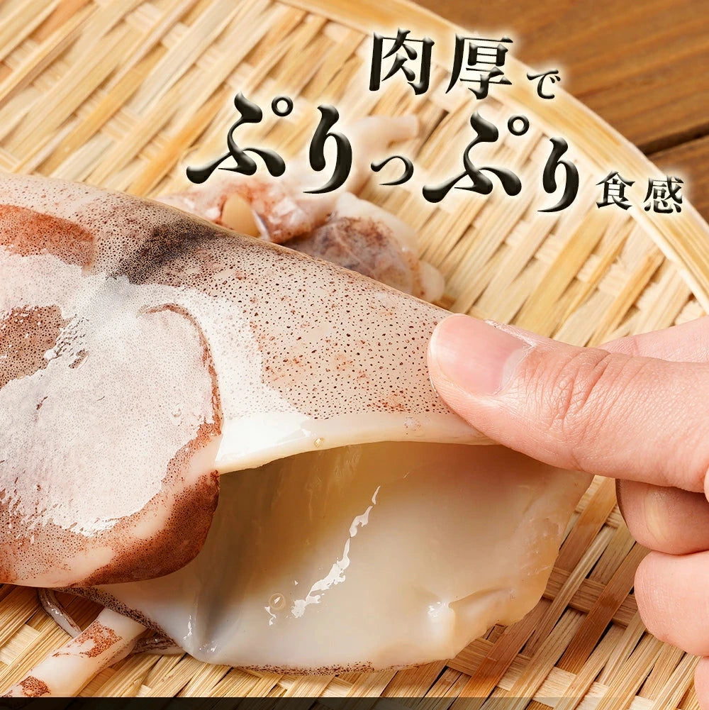 いか一夜干し Lサイズ(150g~200g)6枚入