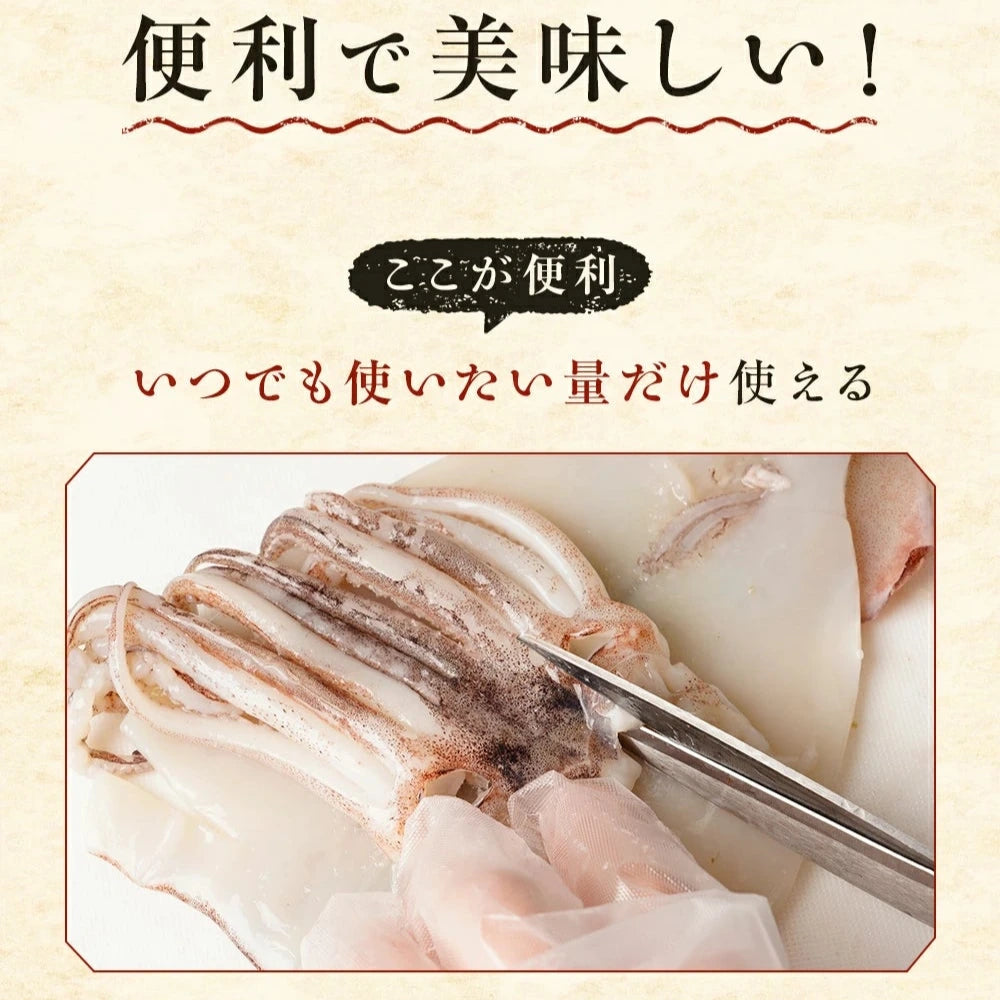 いか一夜干し Lサイズ(150g~200g)6枚入