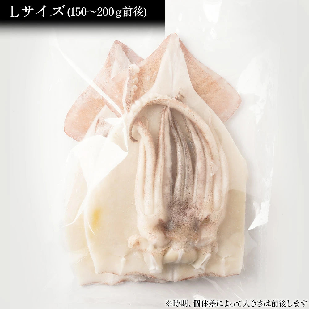 いか一夜干し Lサイズ(150g~200g)6枚入