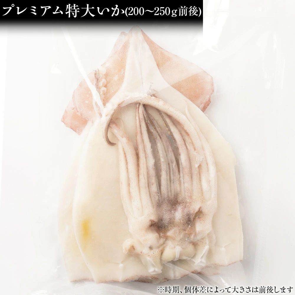 いか一夜干し LLサイズ(200g~)4枚入