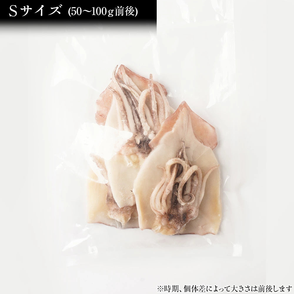 いか一夜干し Sサイズ(50g~100g)6枚入