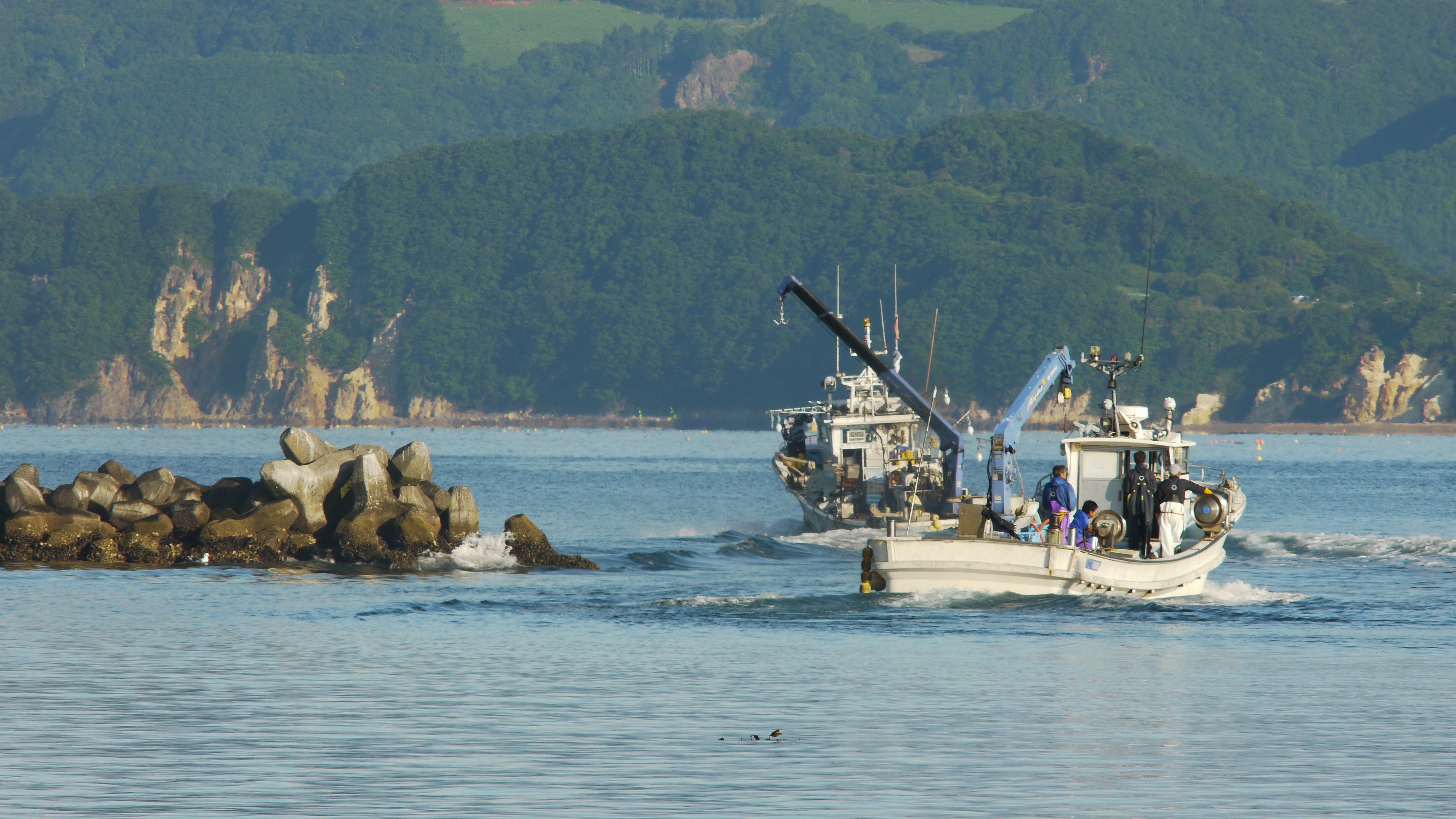 北海道のオホーツク産と噴火湾産ホタテ徹底比較！