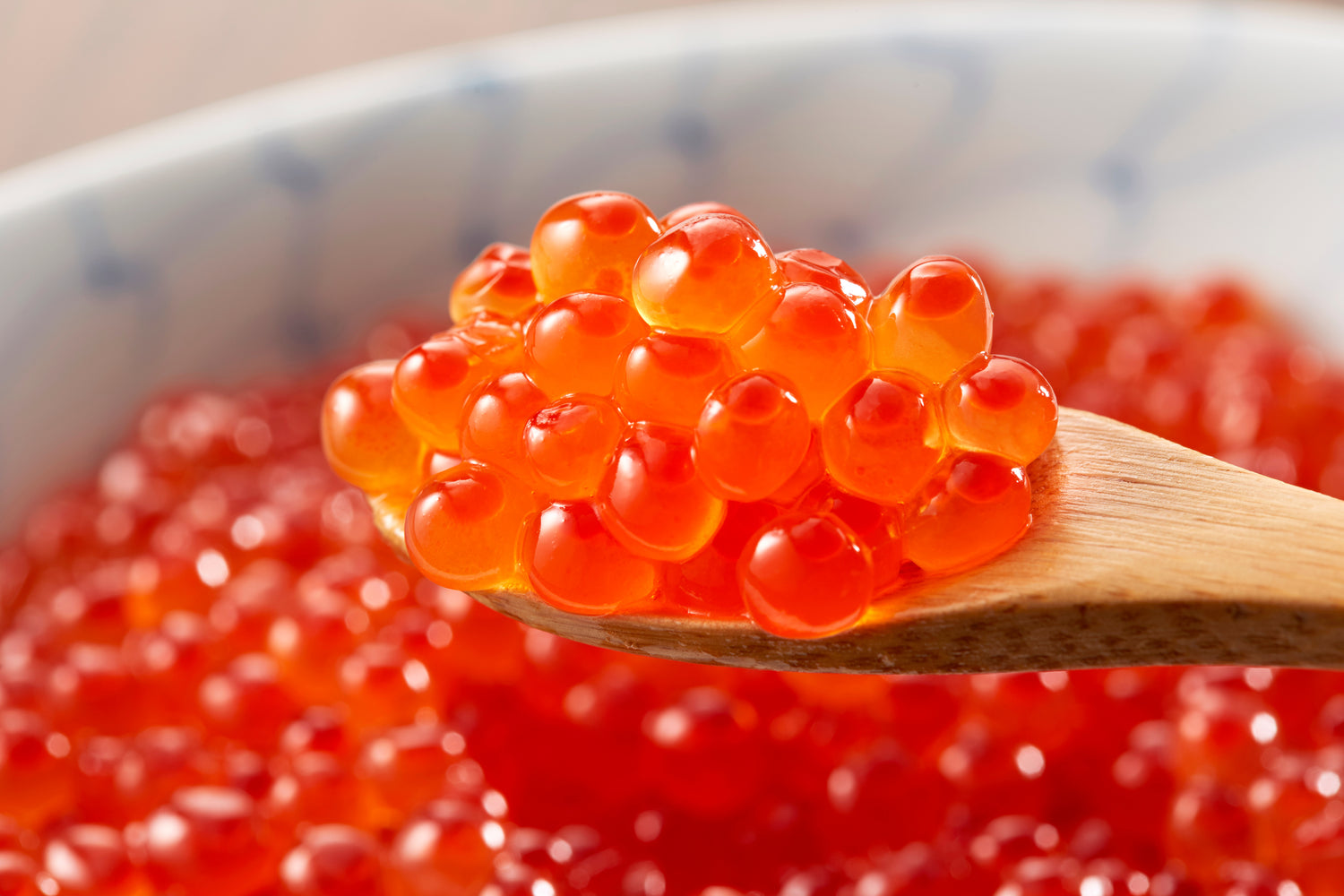 北海道の味覚！いくらが織りなす贅沢な食の旅