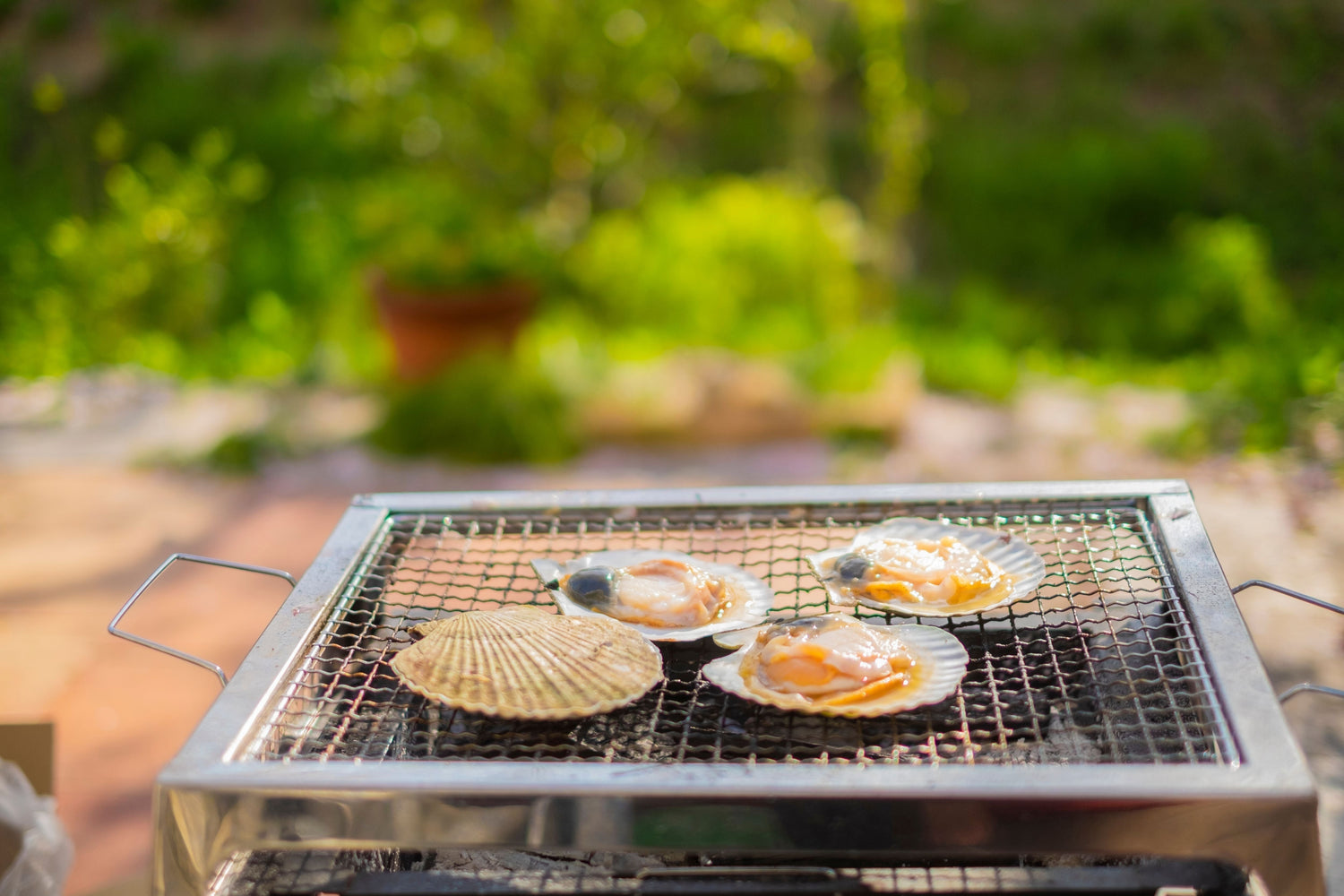 【BBQの主役はお肉だけじゃない！】ホタテとイカで海鮮バーベキューをもっと楽しく！