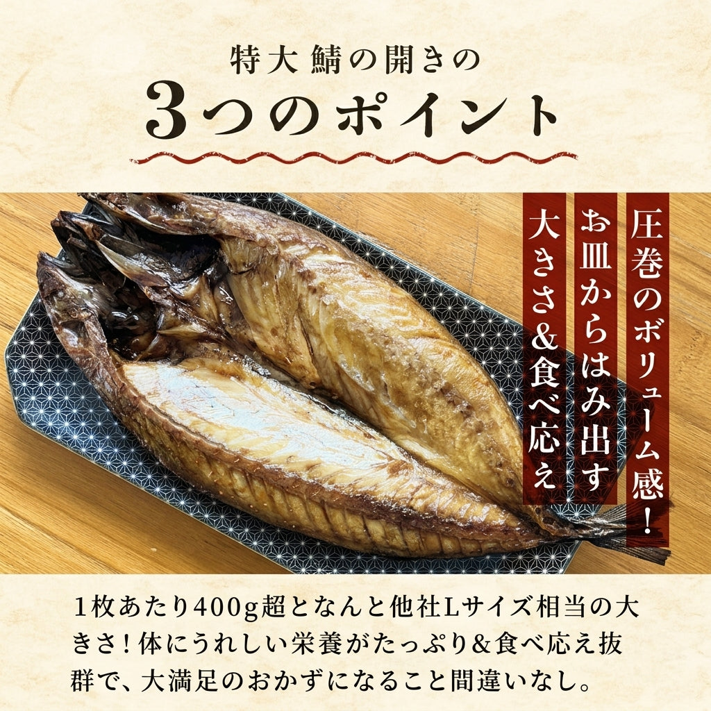 北海道 噴火湾 鯖の開き 1尾