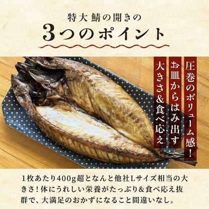 北海道 噴火湾 鯖の開き 1尾