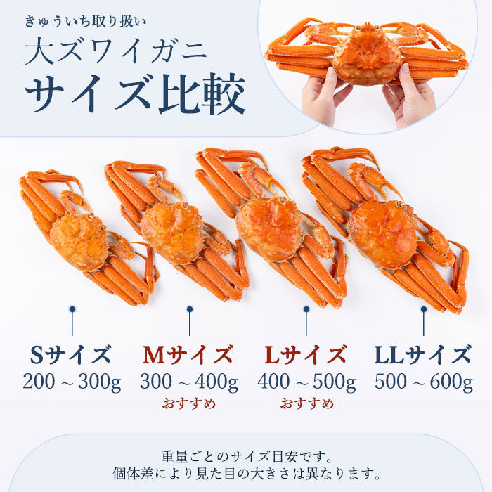 大ズワイガニ　Mサイズ 300～400g 2尾