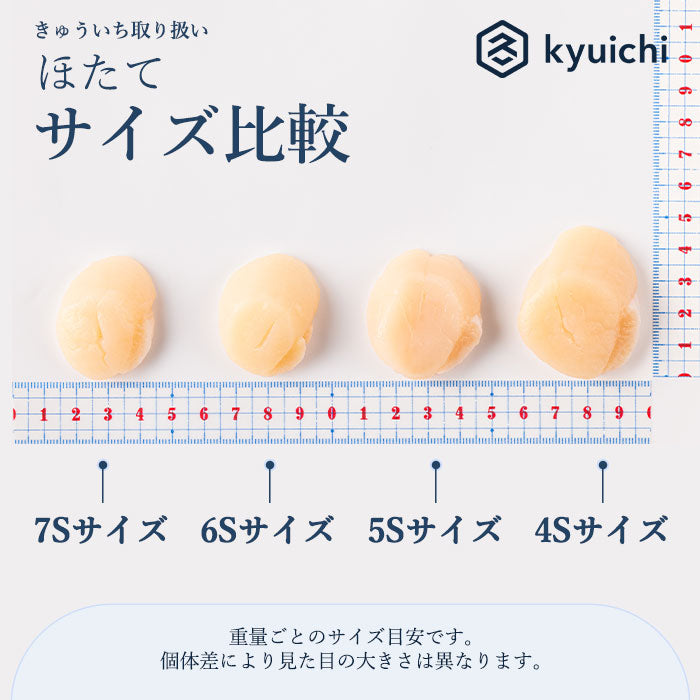 【2026年 新物】北海道噴火湾産　ほたて貝柱　4S 1kg(500g×2袋)