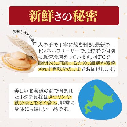 【2026年 新物】北海道噴火湾産　ほたて貝柱　5S 1kg(500g×2袋)
