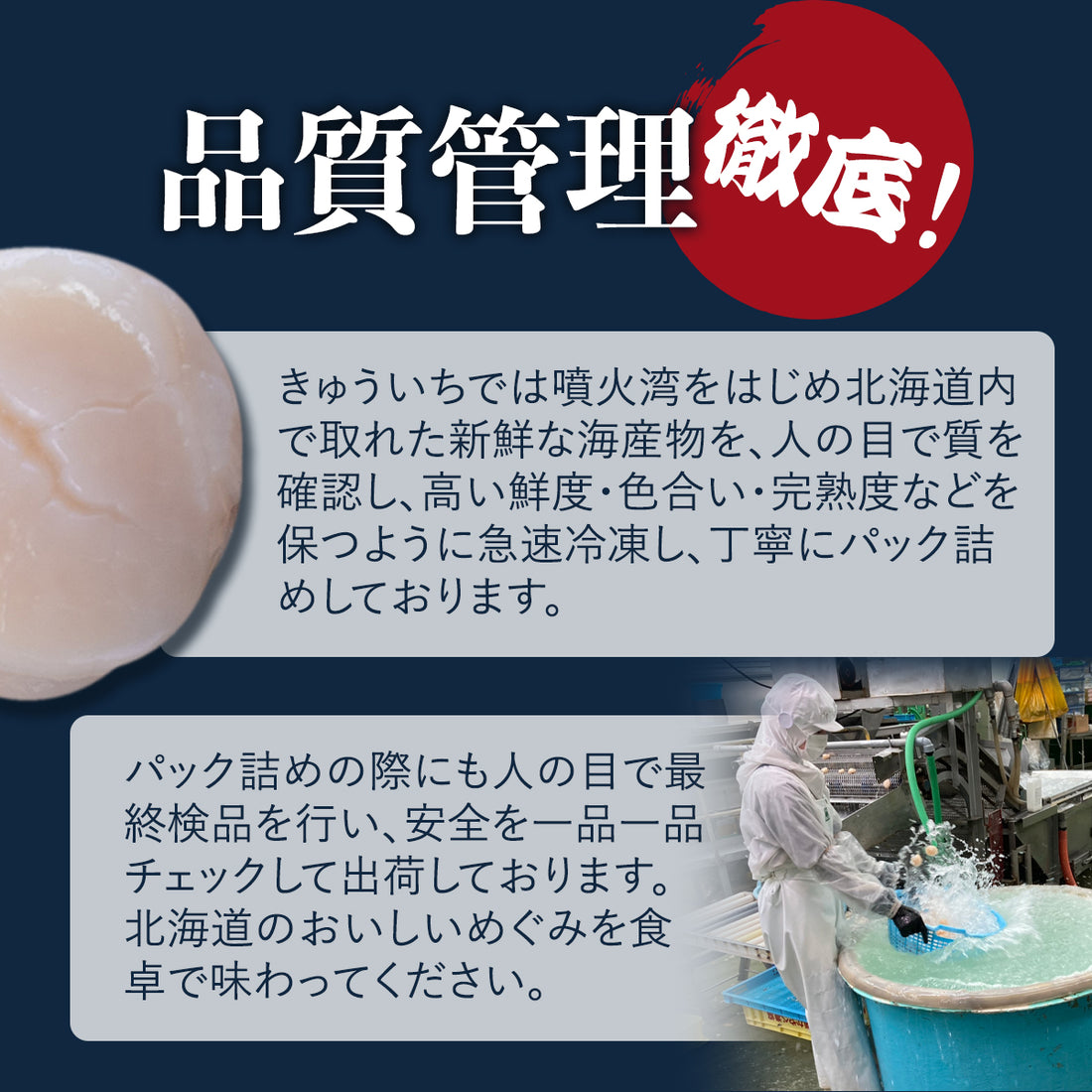 まるごと海鮮3種類（エビ・ホタテ・カニ）