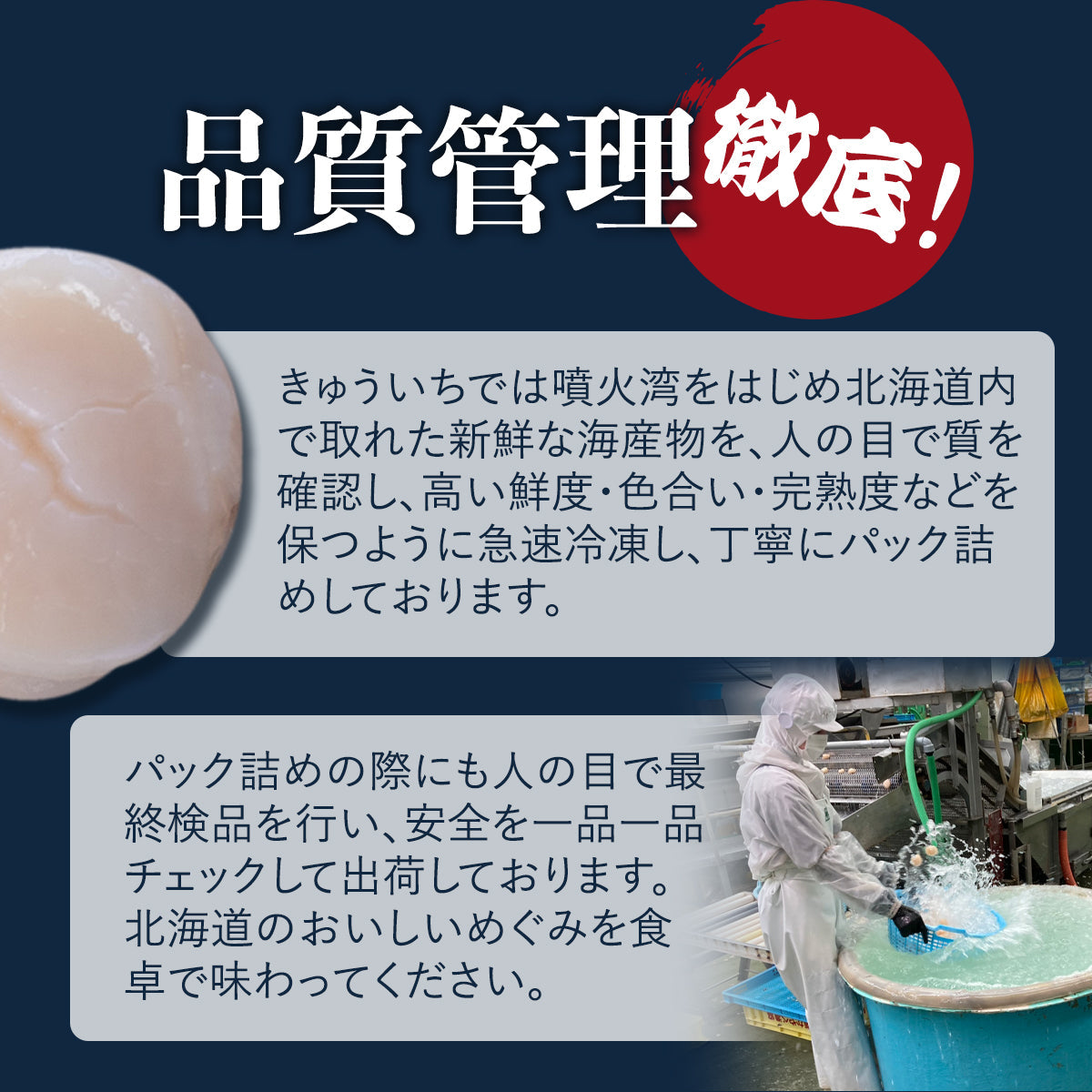 北海道噴火湾産　ベビーホタテ S　1kg(約150〜200粒)