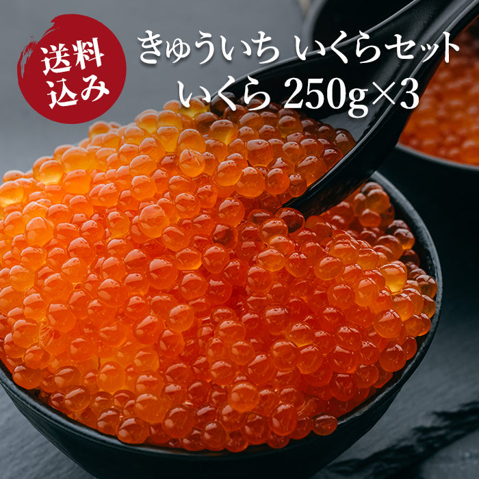 【送料込み】きゅういちいくらセット　いくら 250g×3