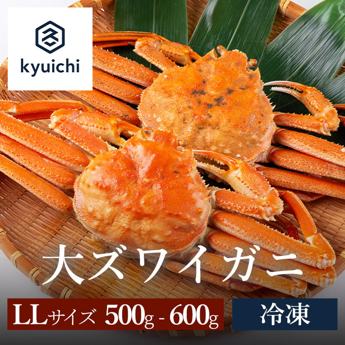 大ズワイガニ　LLサイズ 500～600g 2尾