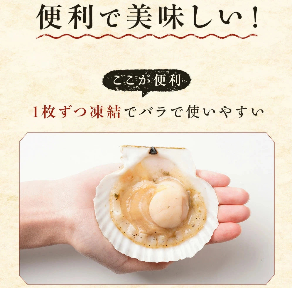 2025年新物　噴火湾産ほたて片貝 9cm-10cm 10枚