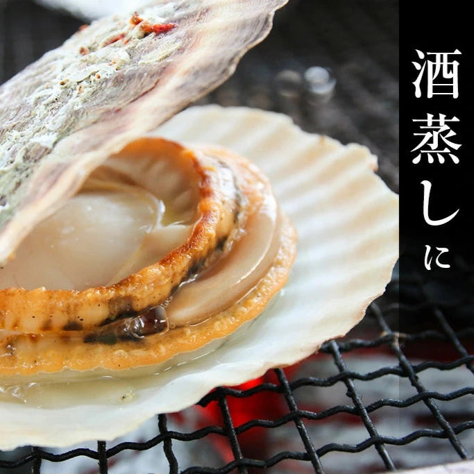 2025年新物　噴火湾産ほたて片貝 9cm-10cm 10枚