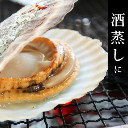 2025年新物　噴火湾産ほたて片貝 9cm-10cm 10枚