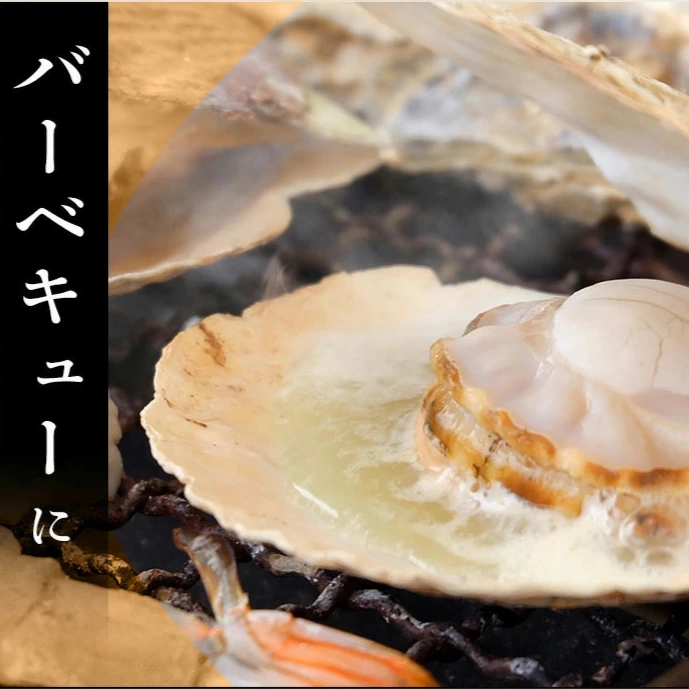 2025年新物　噴火湾産ほたて片貝 9cm-10cm 10枚