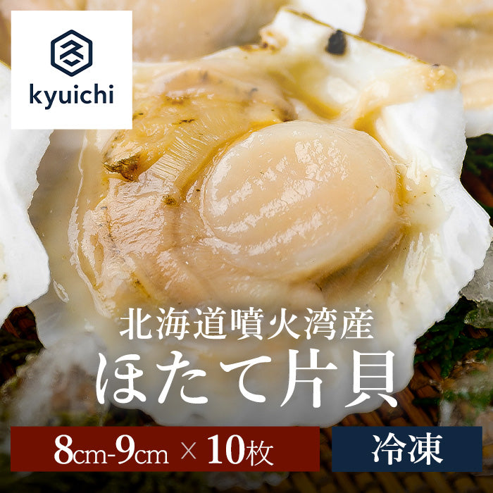 噴火湾産ほたて片貝 8cm-9cm 10枚