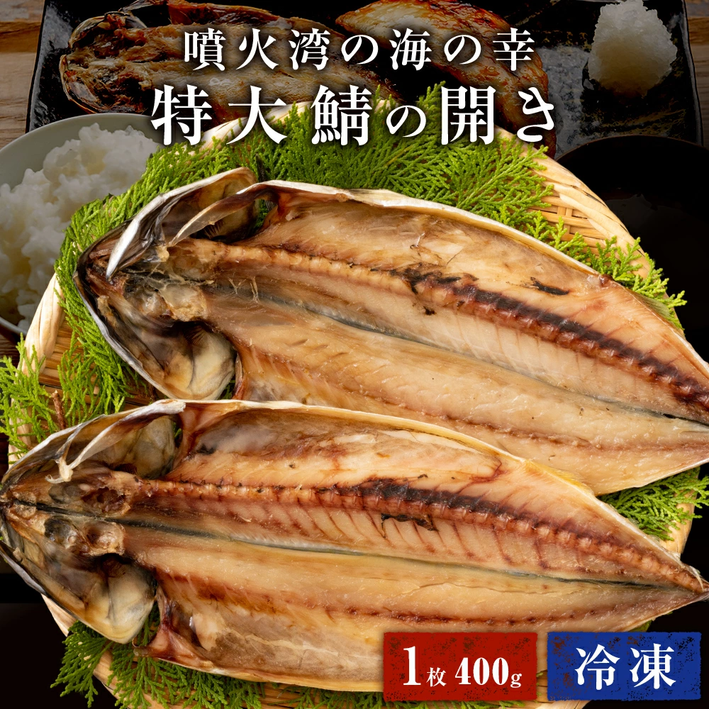 北海道 噴火湾 鯖の開き 1尾