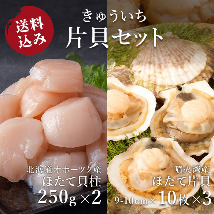 【送料込み】きゅういち 片貝セット