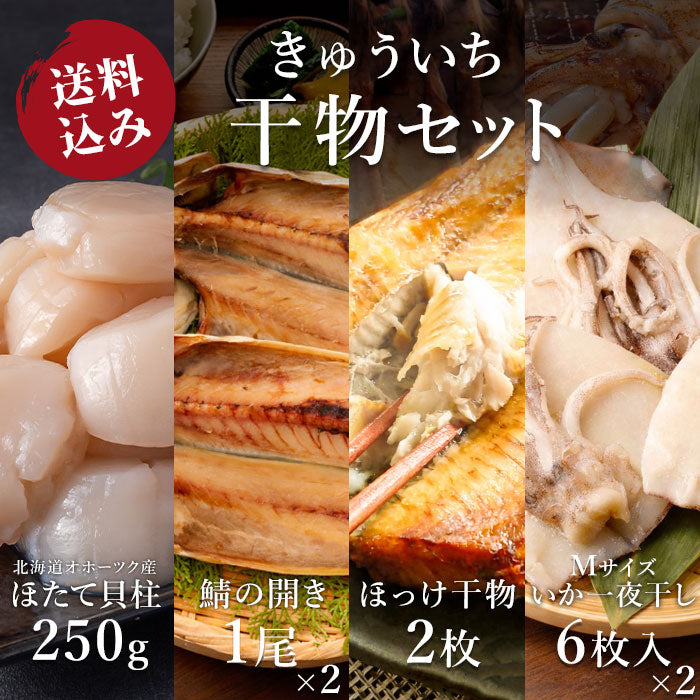 【送料込み】きゅういち 干物セット