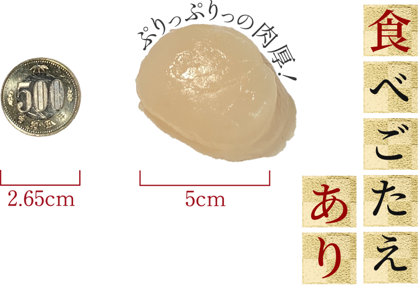 楽天市場】塩筋子の通販