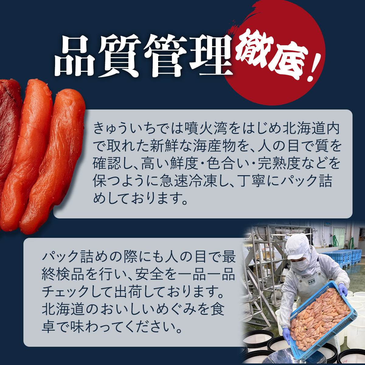 【母の日限定】きゅういち みんなで美味しく食べようセット ほたて貝柱 250×2 いくら 250g×2 たらこ 500g×1 (他商品同梱不可)