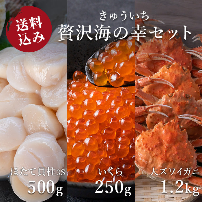 【送料込み】きゅういち 贅沢海の幸セット